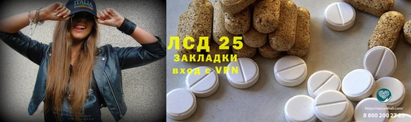 СК Верея