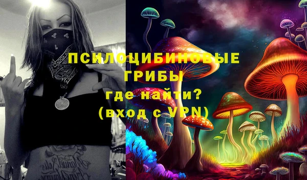 СК Верея