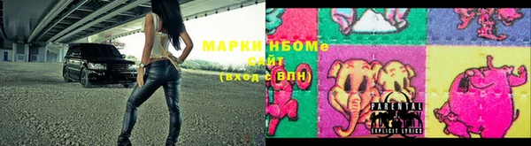 СК Верея