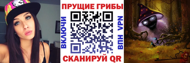 кракен как зайти  Жирновск  Псилоцибиновые грибы MAGIC MUSHROOMS 
